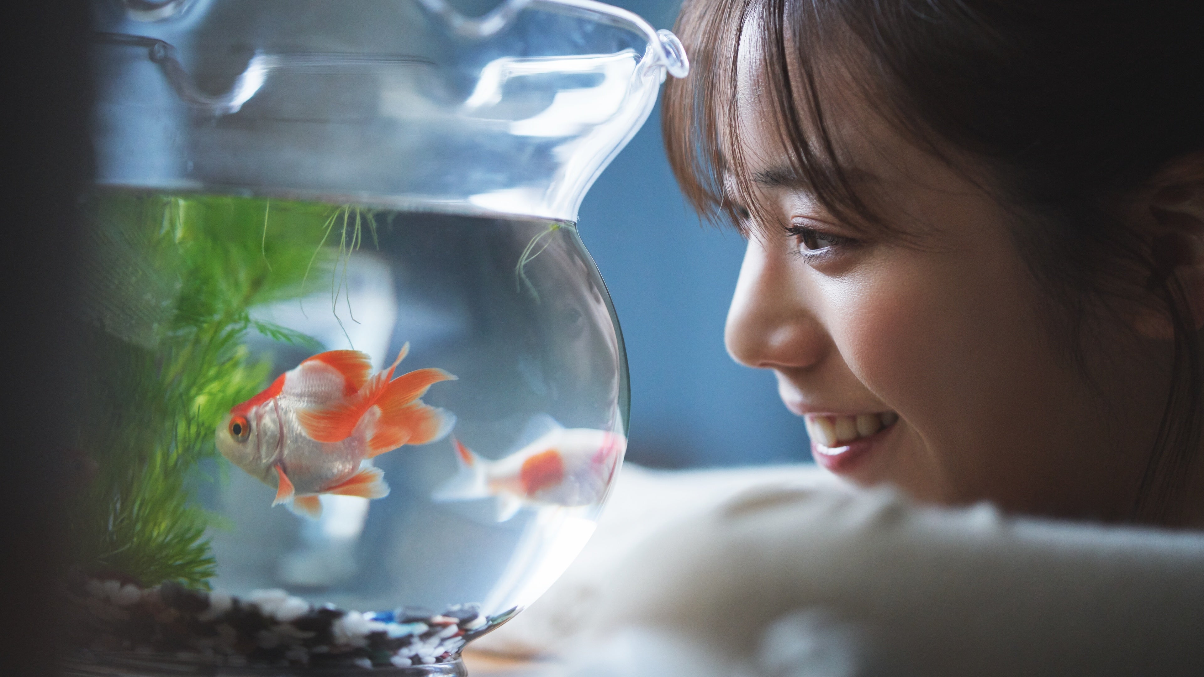 別の世界を覗いて、みる