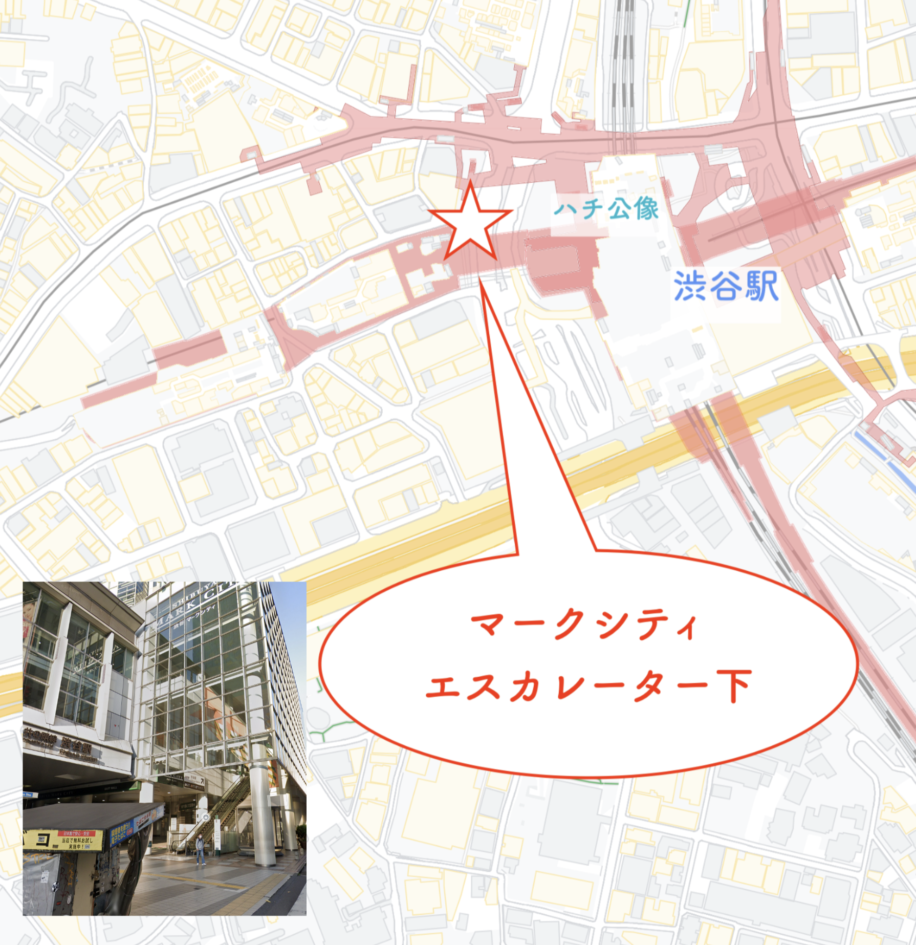 渋谷マークシティのエスカレーター下の歩道で配布いたします