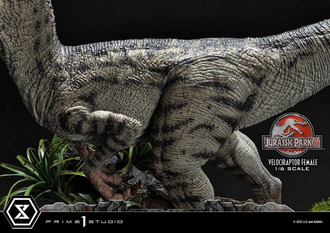 イスラ・ソルナの白き女王!雌のヴェロキラプトルのスタチューが予約開始 イスラ・ソルナの白き女王!雌のヴェロキラプトルのスタチューが予約開始