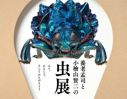 「養老孟司と小檜山賢二の虫展 ~みて、かんじて、そしてかんがえよう」2026年3月に東京都写真美術館で開催します。 「養老孟司と小檜山賢二の虫展 ~みて、かんじて、そしてかんがえよう」2026年3月に東京都写真美術館で開催します。