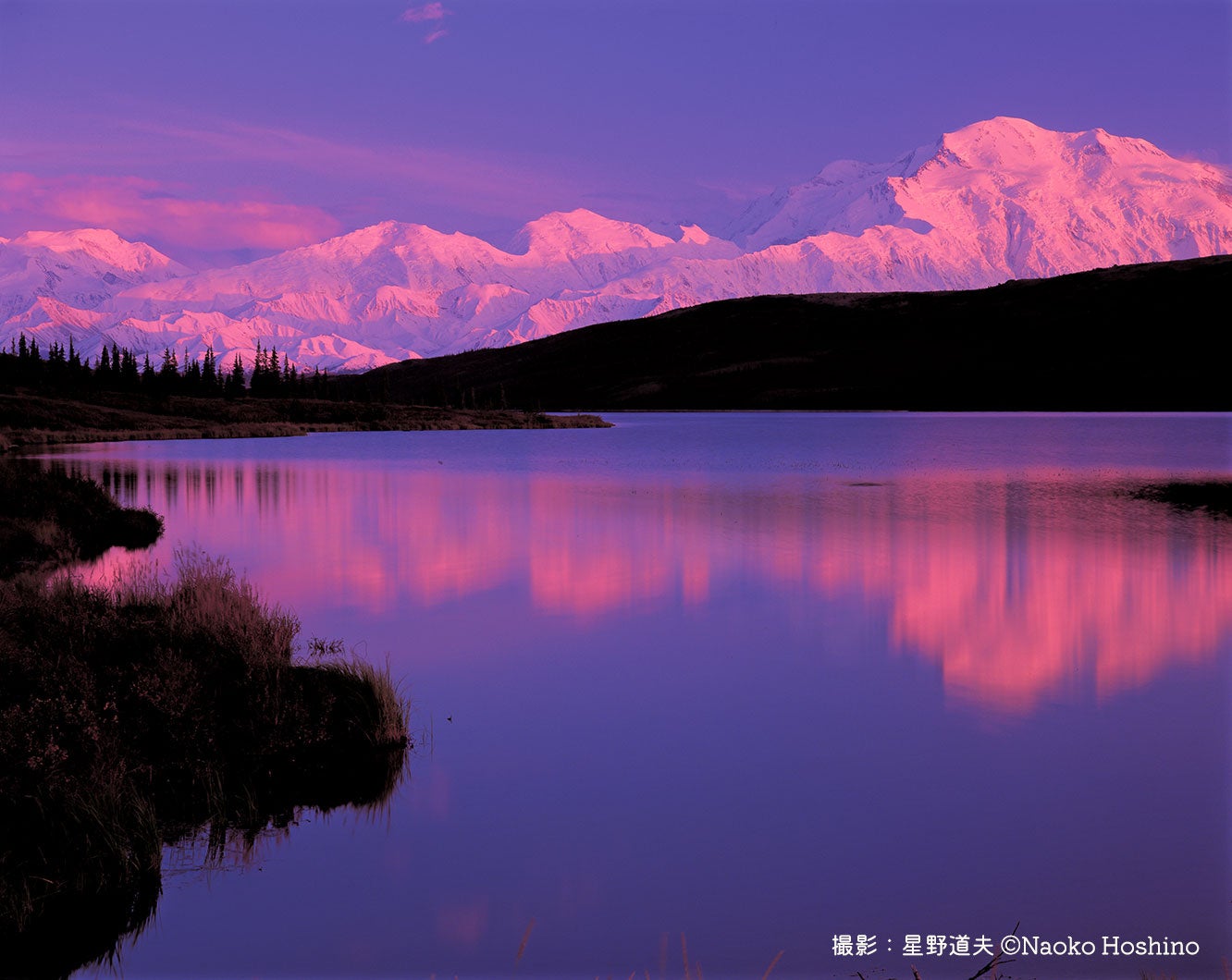 ≪アルペングロウ（山頂光）に染まる夕暮れのデナリ （マッキンレー山）デナリ国立公園≫