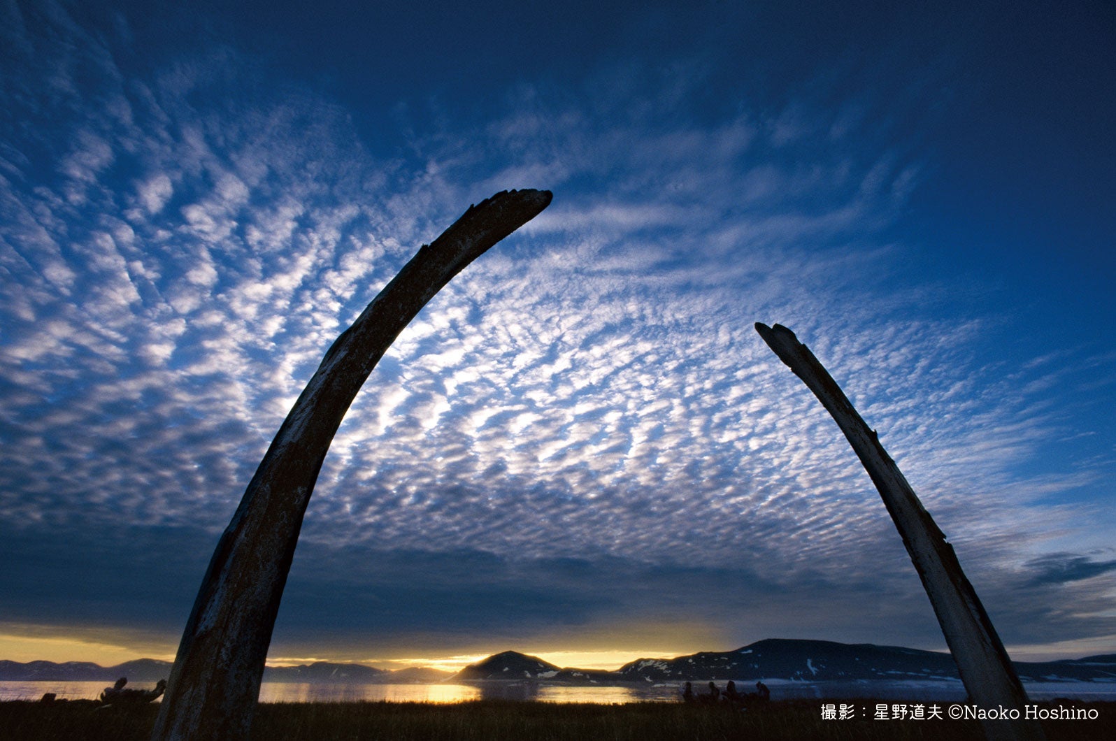 ≪クジラの肋骨が立つ浜　 ロシア、チュコト半島に近いイティグラン島≫