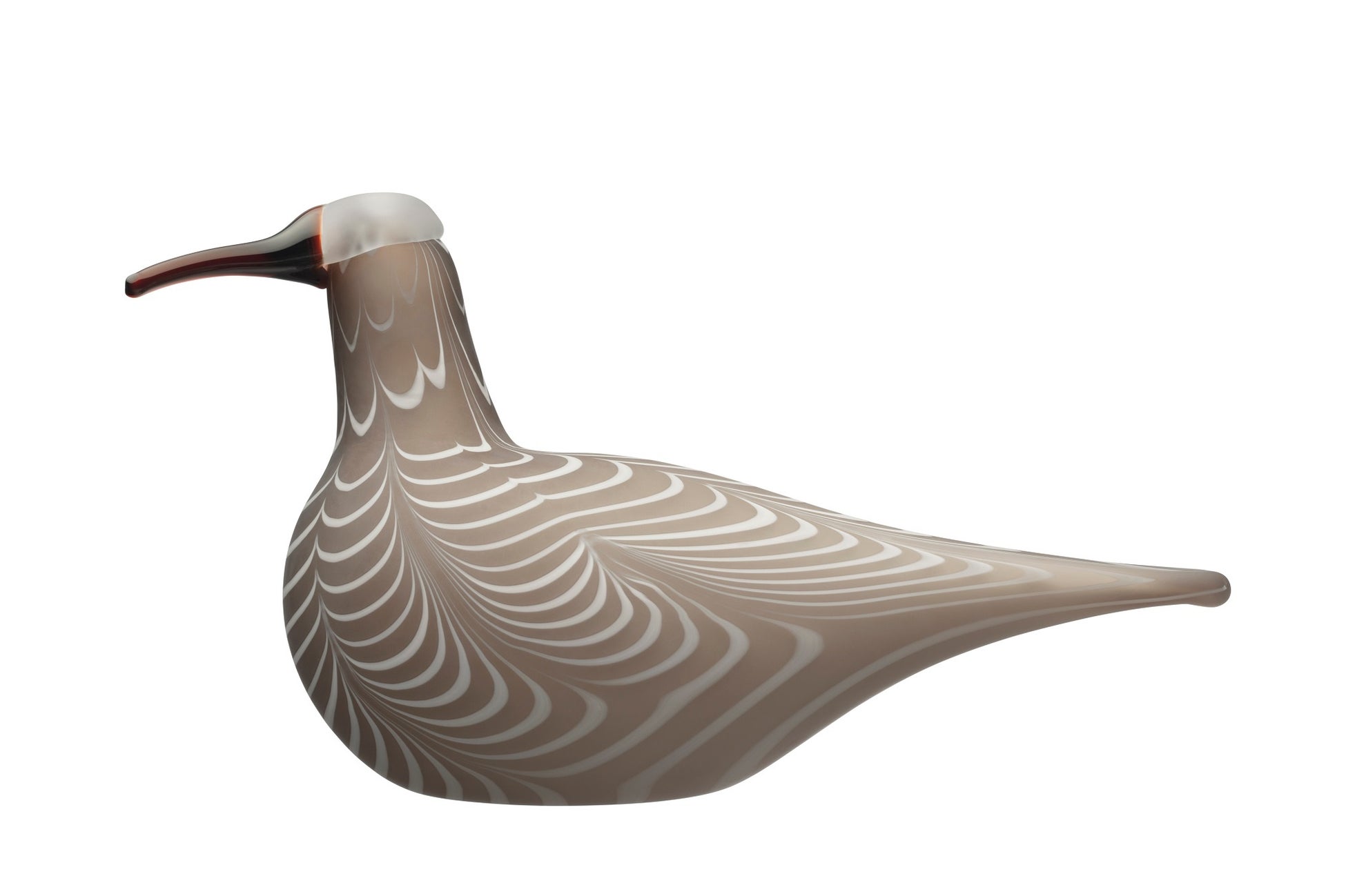 バード バイ トィッカ ダイシャクシギ サンド