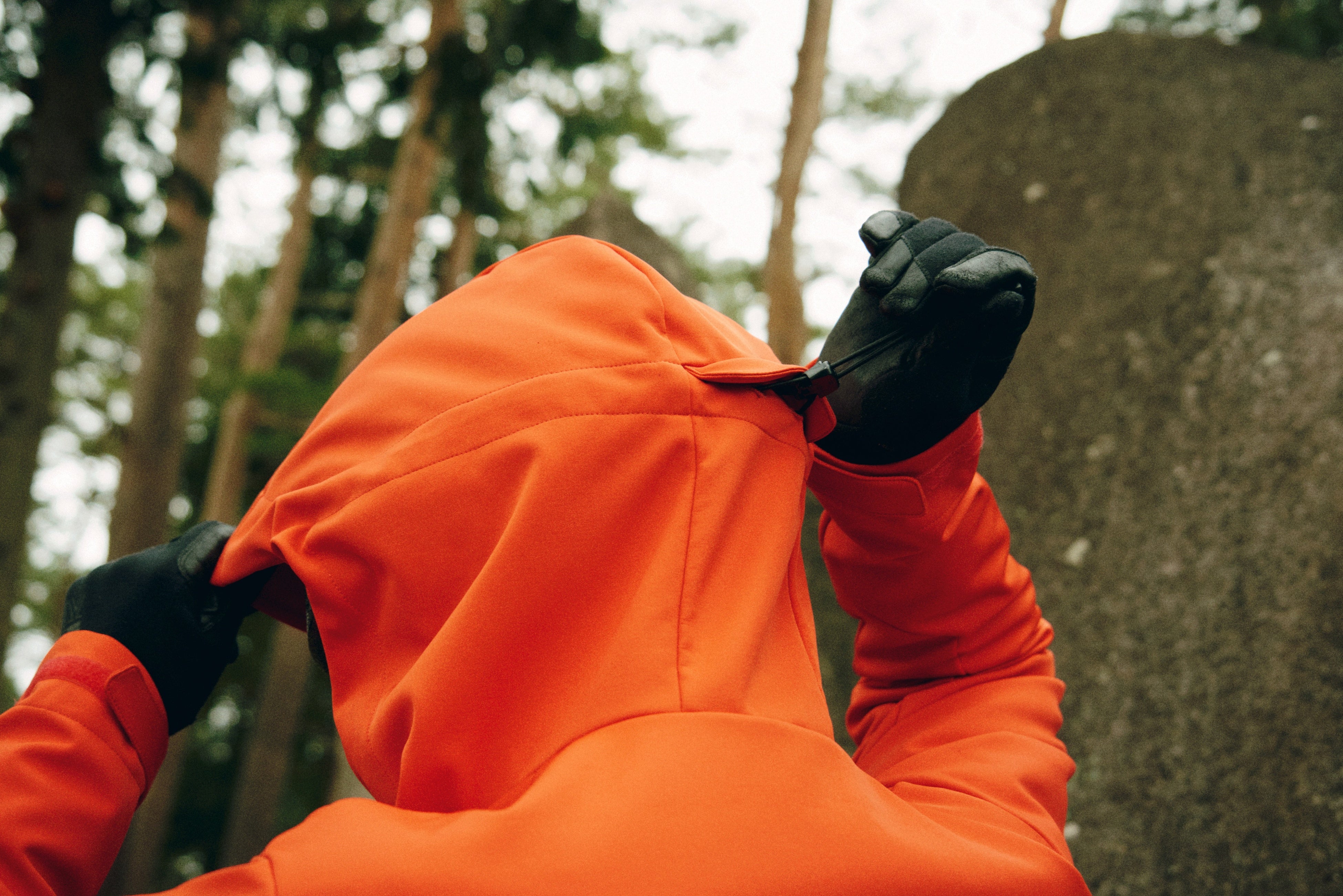 フードアジャスト