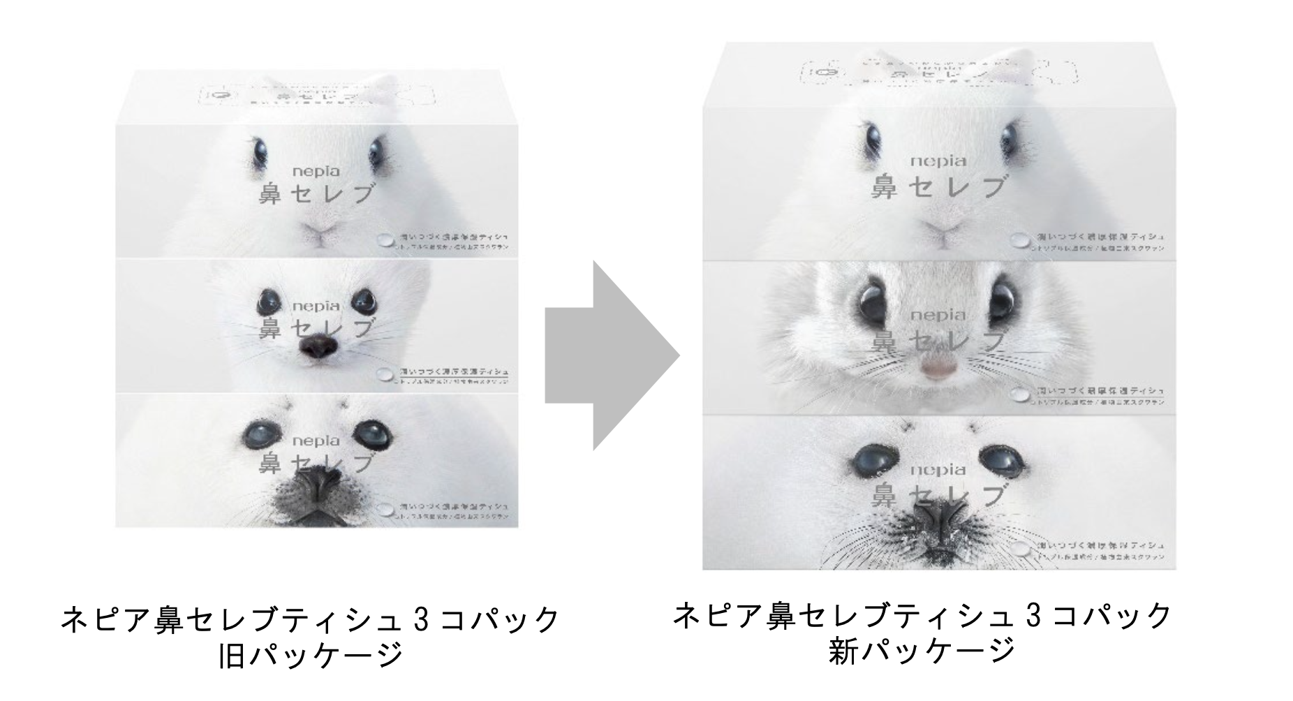 ネピア 鼻セレブティシュ」シリーズブランド生誕20周年に先立ち