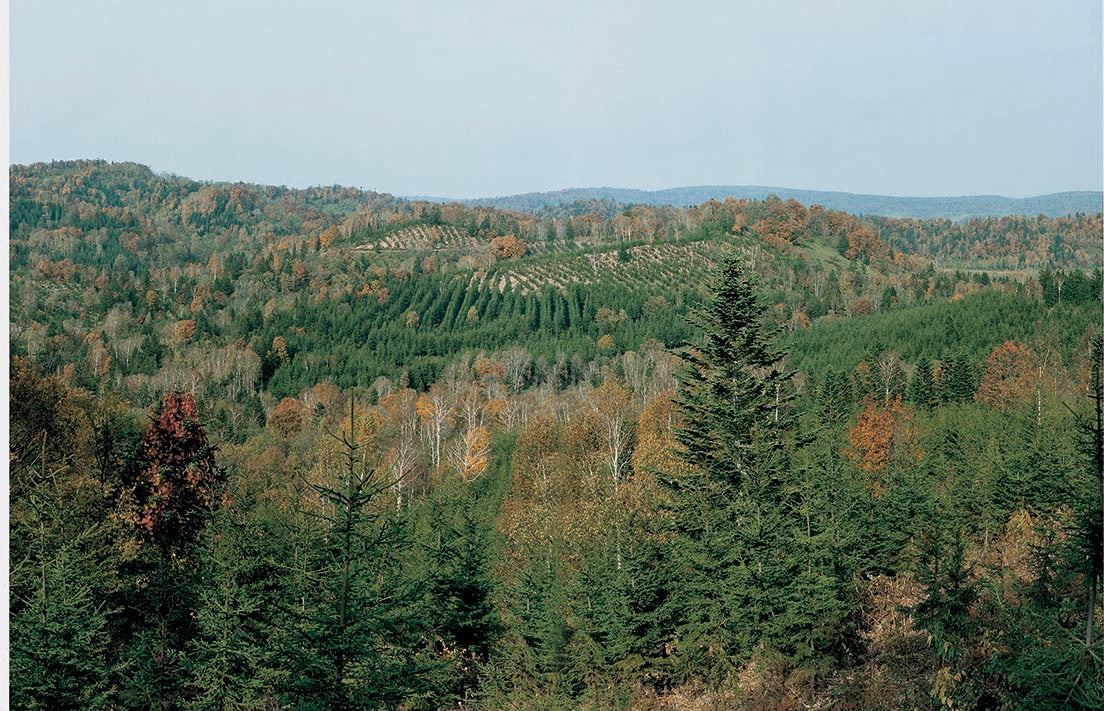 朱鞠内(しゅまりない)・北海道