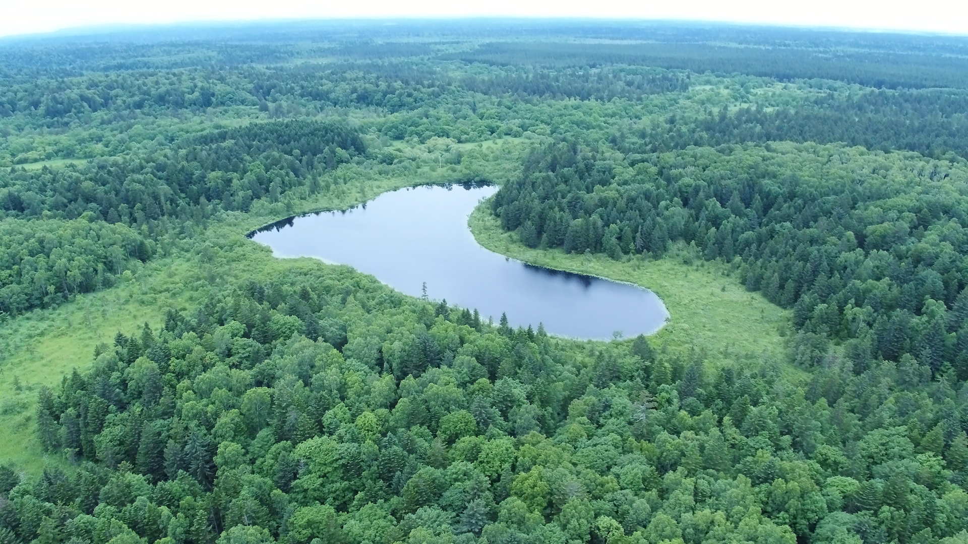 猿払(さるふつ)・北海道