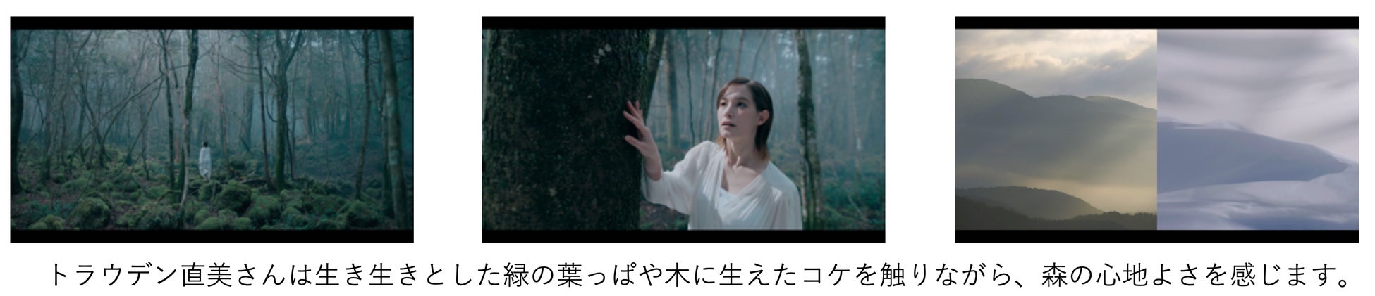 新TVCM「森のｎｅｐｉａ篇」全国OA開始！トラウデン直美さん出演！森山直太朗楽曲とのコラボCM