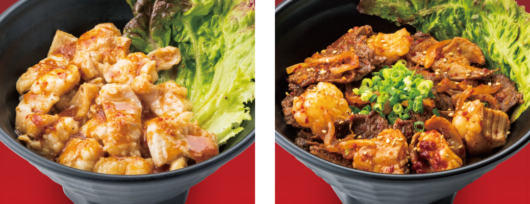 （左）ホルモン丼〈並〉（右）ミックス丼〈並〉