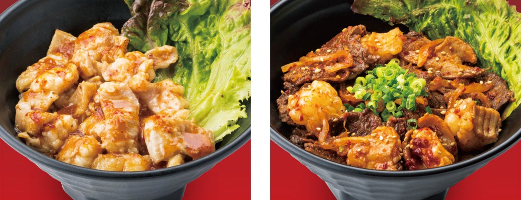 (左)ホルモン丼〈並〉(右)ミックス丼〈並〉