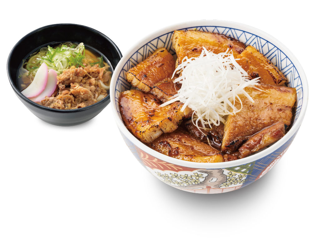 かしわうどんセット(豚バラ丼【並】+かしわうどん【小】)