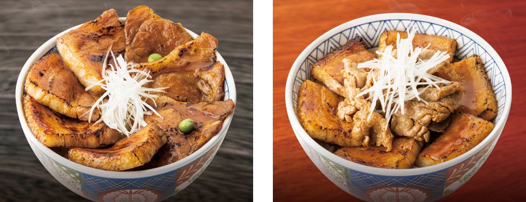 (左)ハーフ&ハーフ丼〈並〉(右)豚バラMIX丼〈並〉