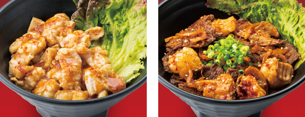 （左）ホルモン丼〈並〉（右）ミックス丼〈並〉