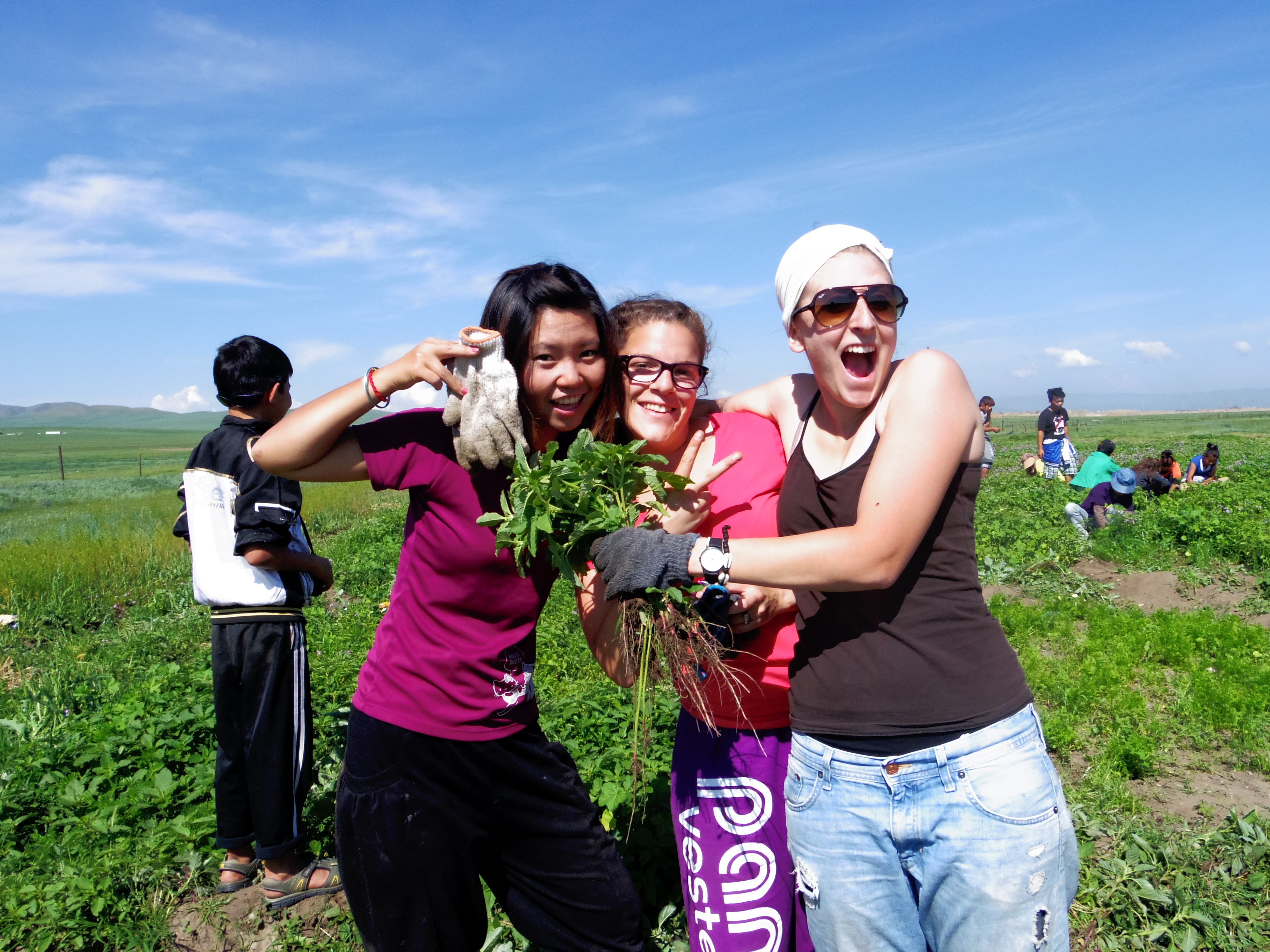 国際ワークキャンプの様子