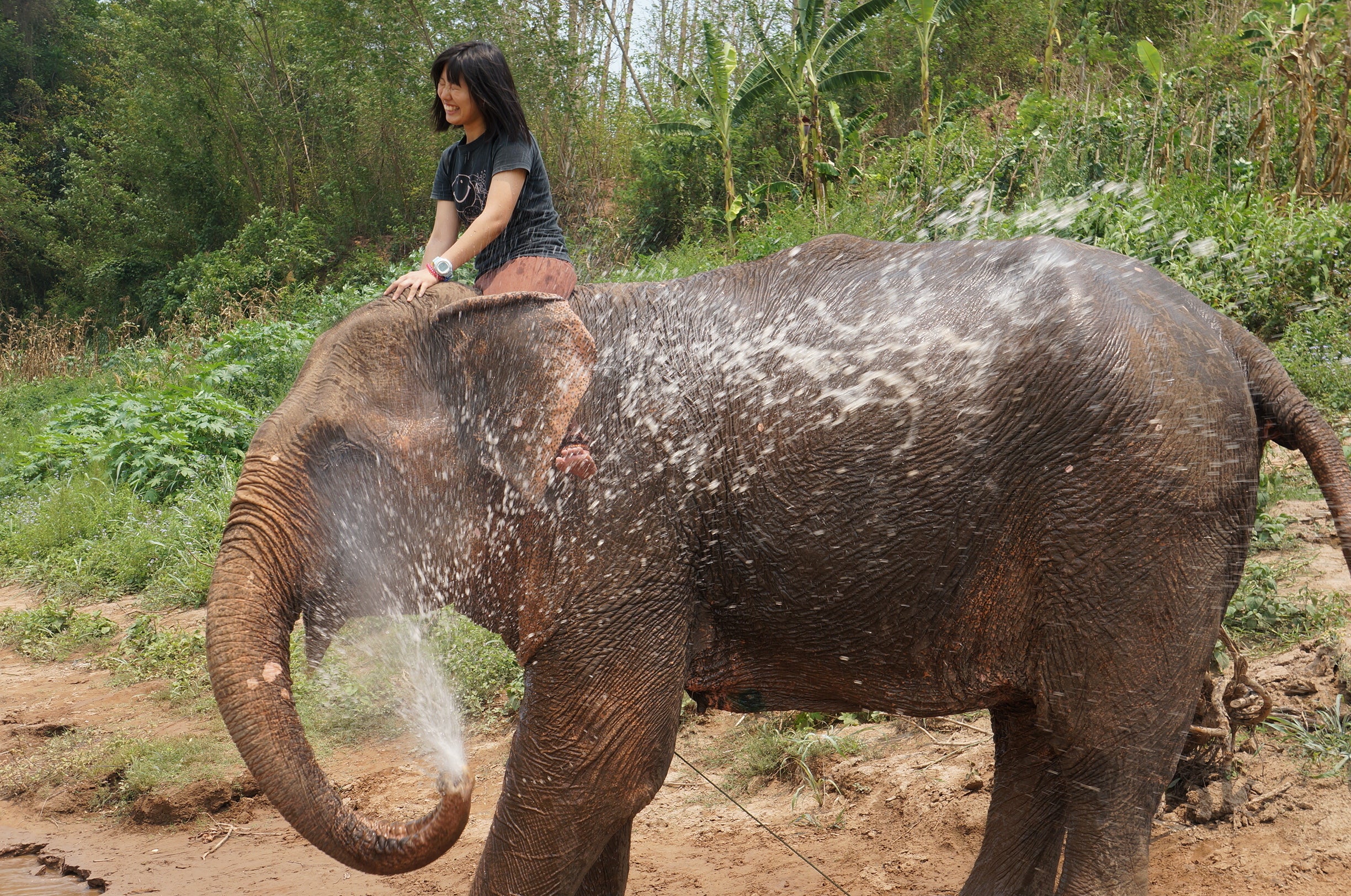 国際ワークキャンプの様子
