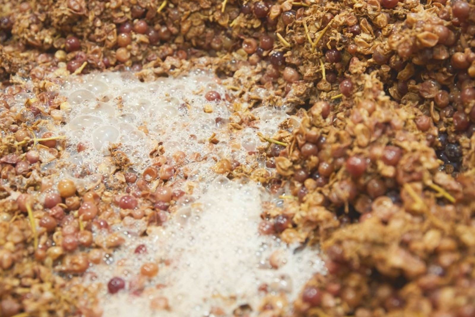 ワインの搾りかす（©️Fattoria AL FIORE）