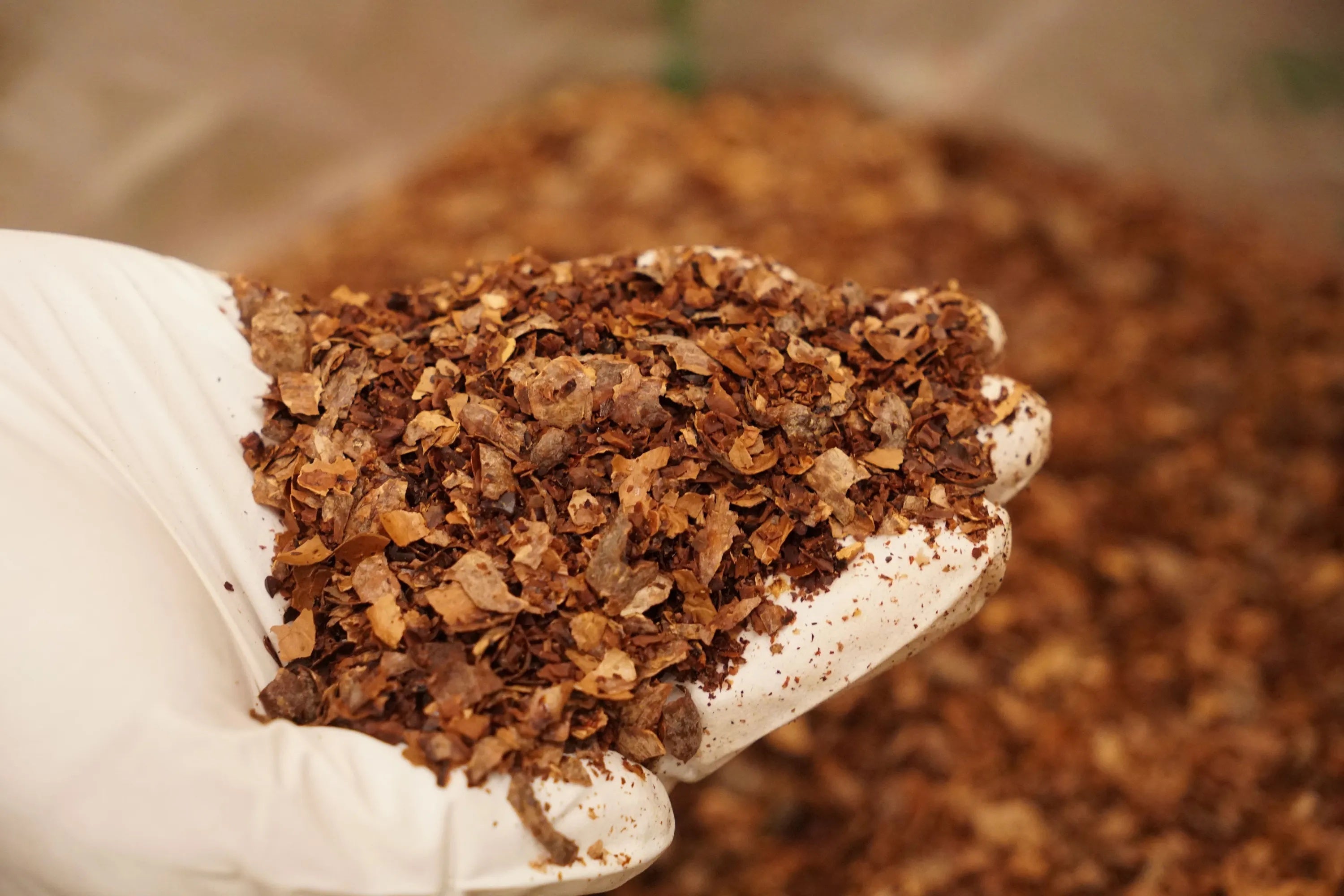 カカオハスク（©Dandelion Chocolate Japan）