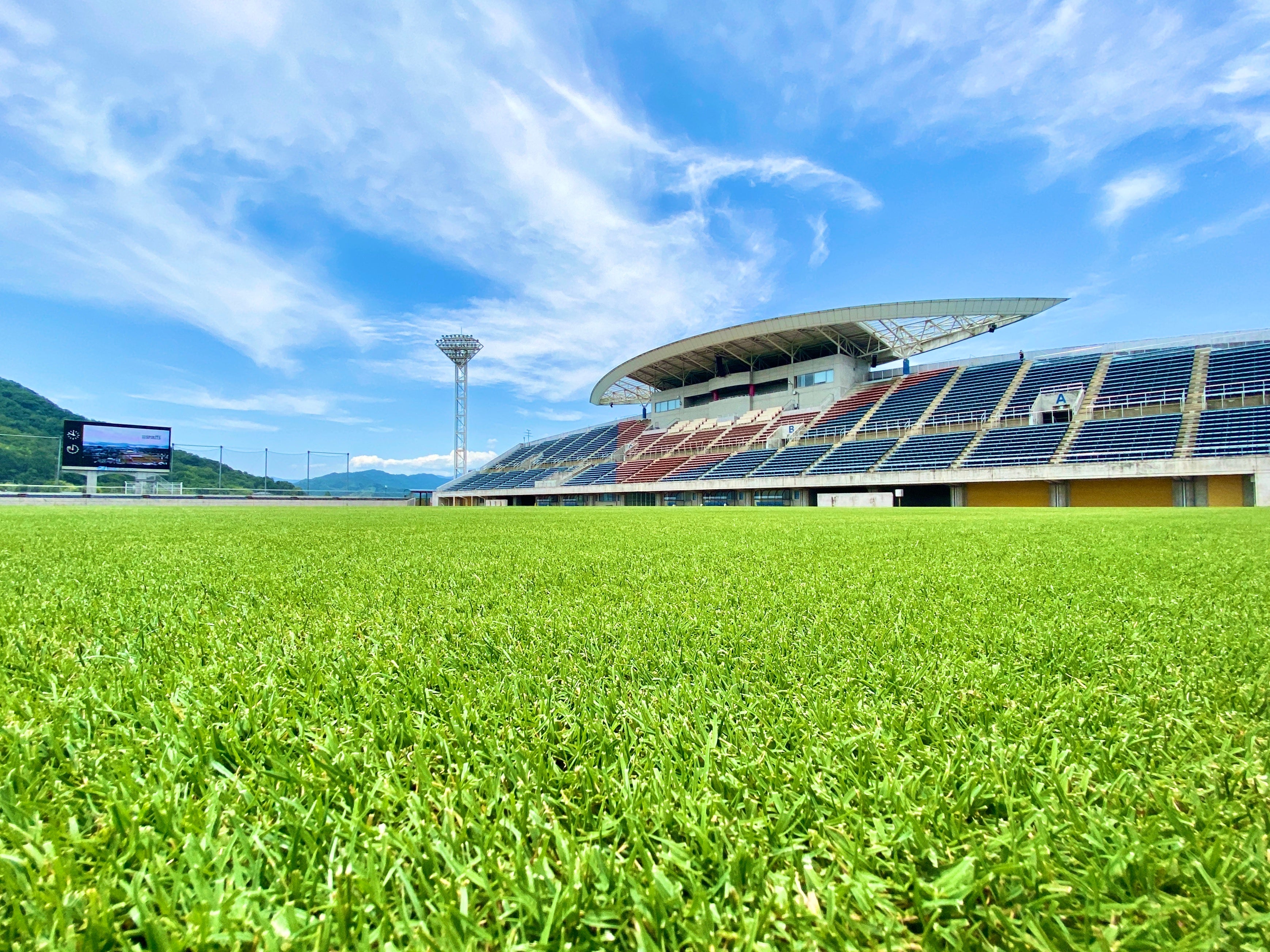 鳥取県の名産品の「芝生」が導入されたピッチ