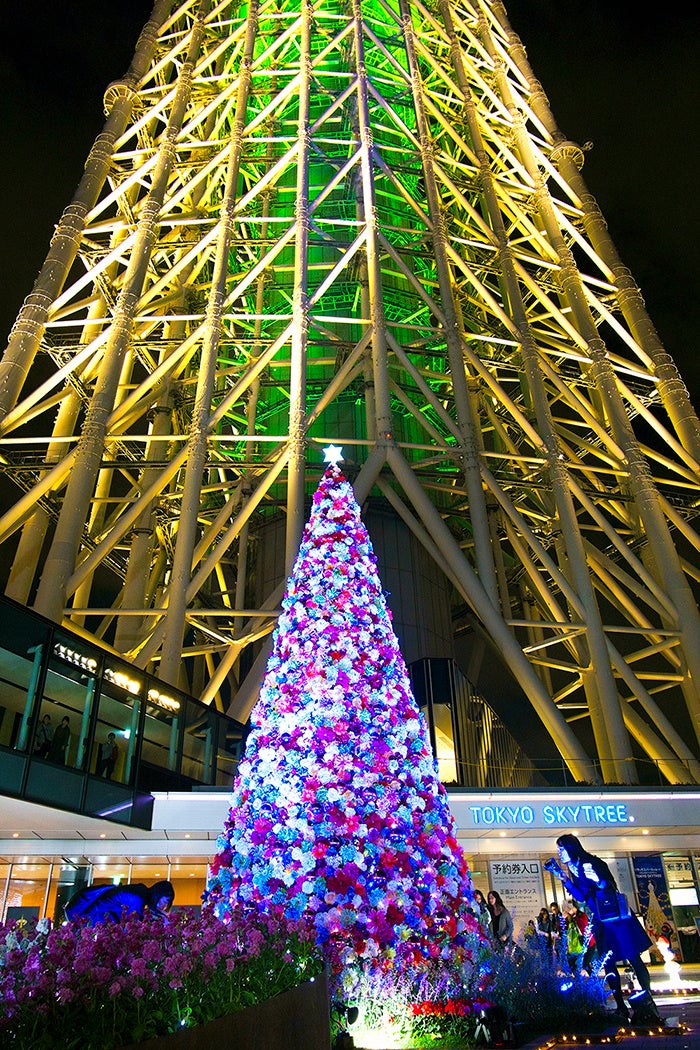 クリスマスツリー（過去の様子）