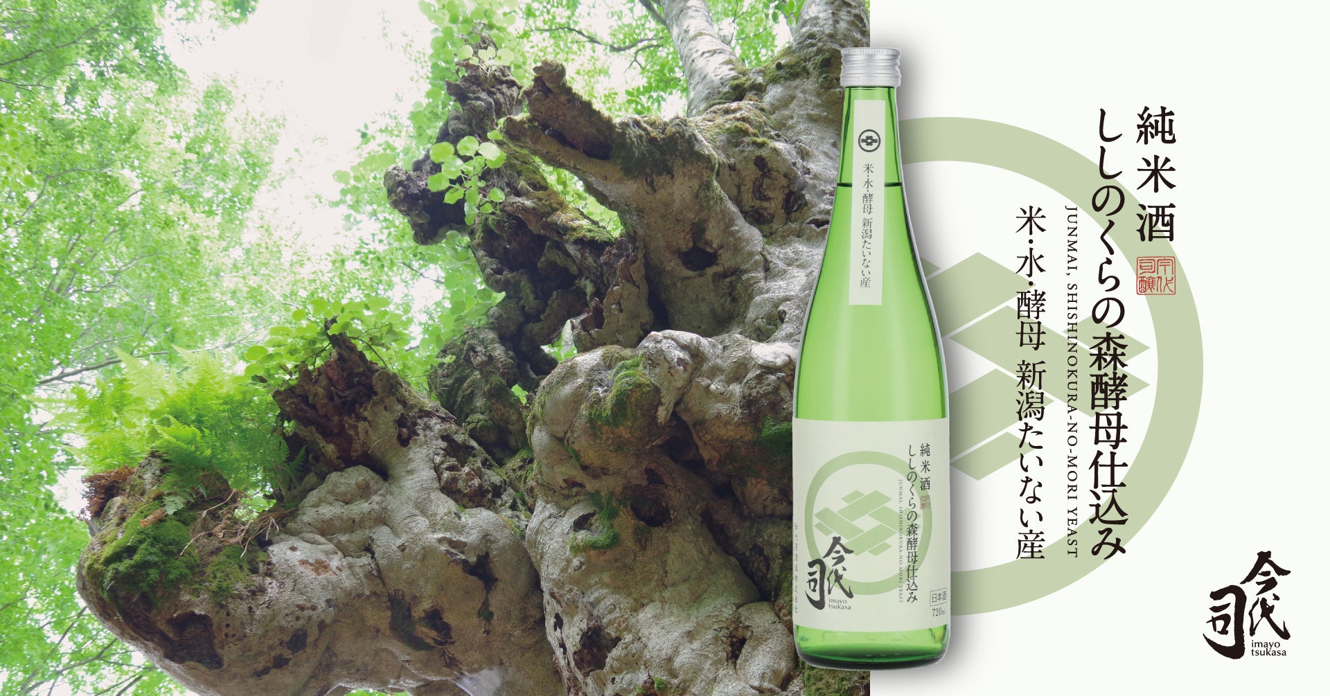 ブナの巨大異形樹で有名な神秘の森から生まれた『純米酒 今代司 ししのくらの森酵母仕込み』