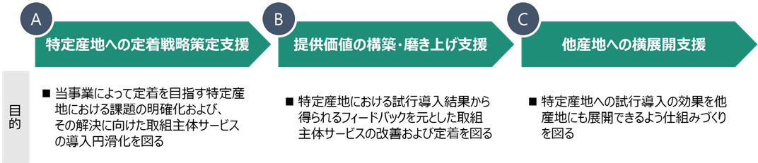 コンサルティング・伴走支援の内容
