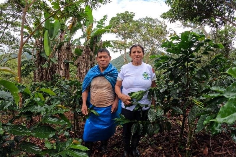 62054-75-2f5f39f9f673b5ca99fba78a58e6e2f