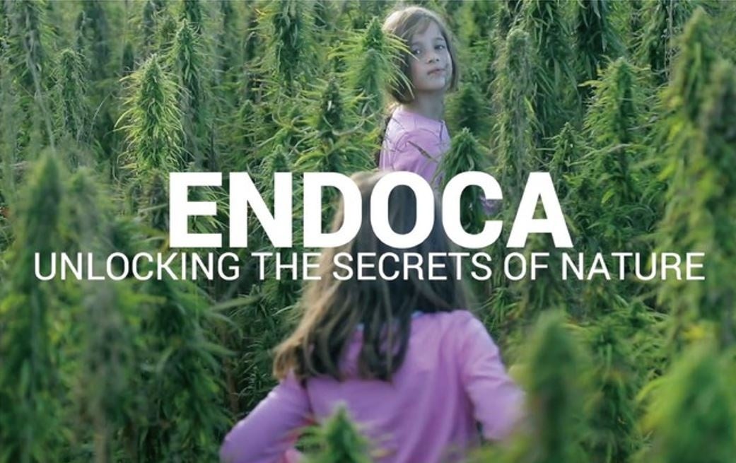 北欧CBDブランド 「ENDOCA（エンドカ）」全製品の価格を2026年10月1日より改定