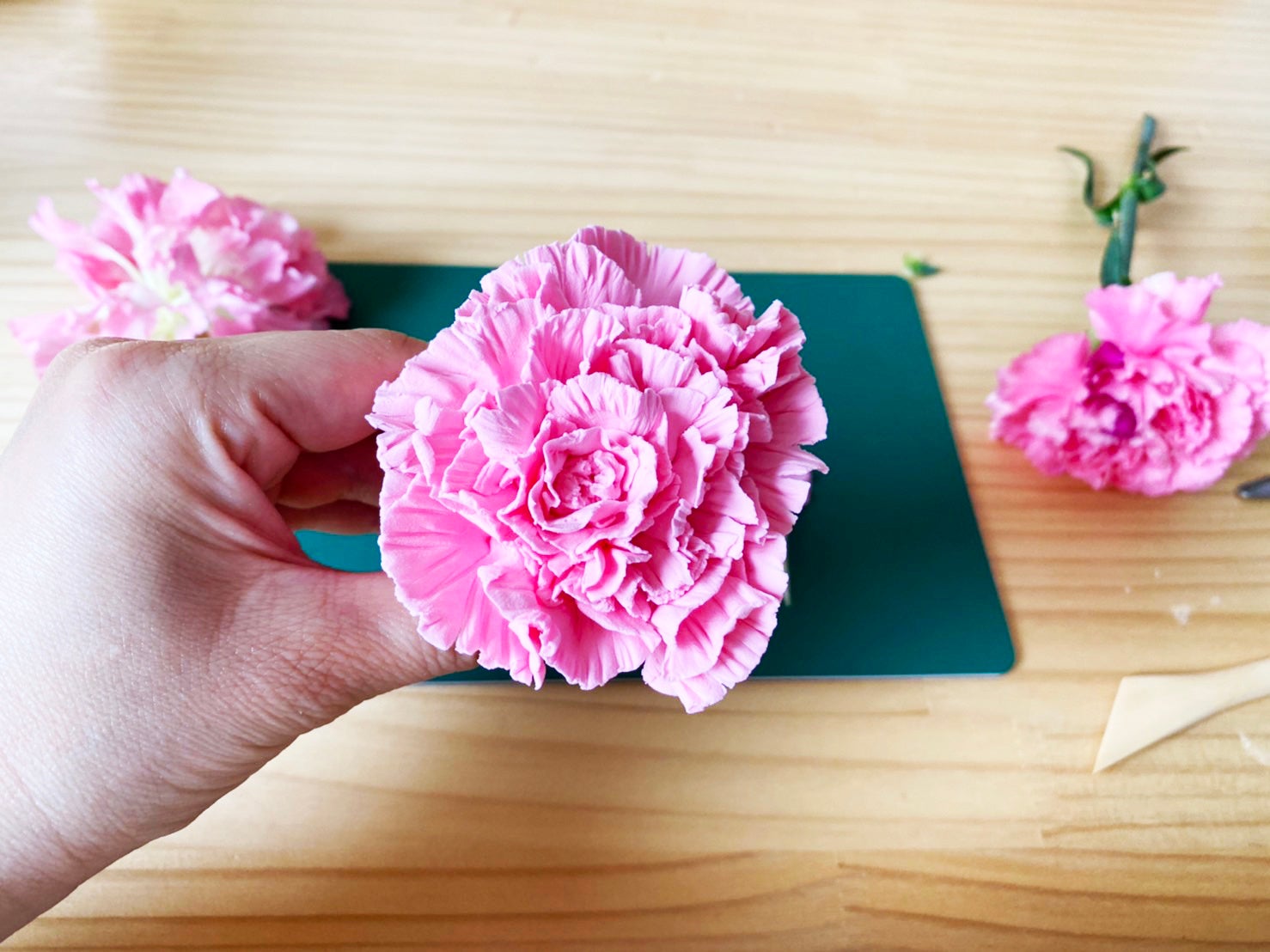 粘土でお花を模刻して立体作品を作ってみようイメージ