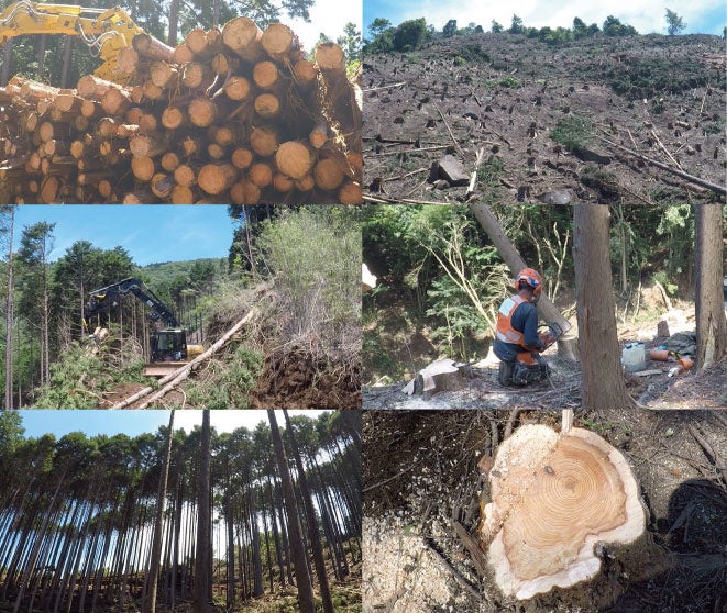 撮影場所：静岡県裾野市