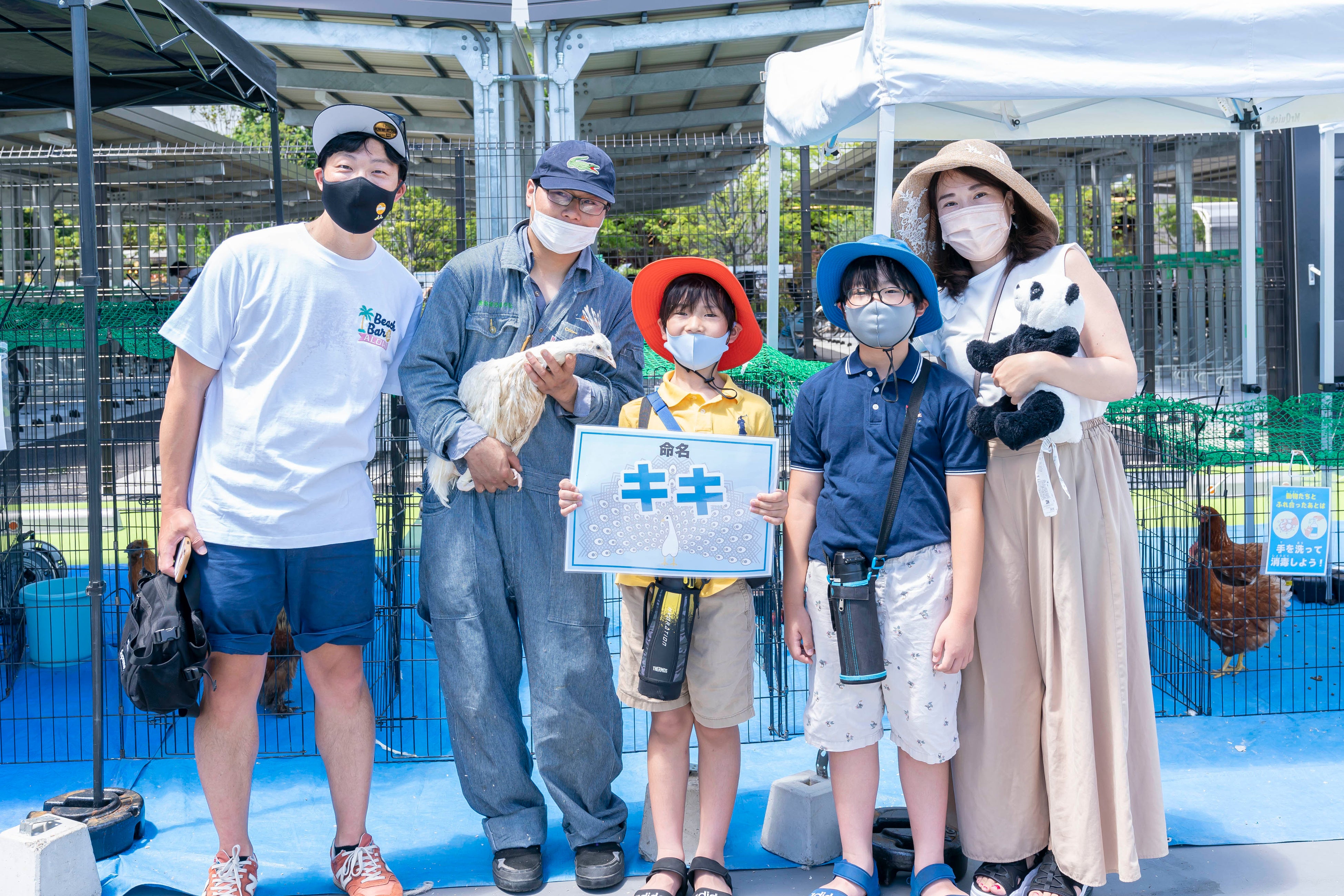 生まれたばかりのくじゃくの命名体験