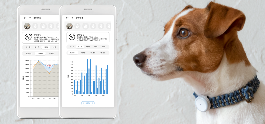 犬猫用 活動量計『PLUS CYCLE』と、ペット総合アプリ『Pet』が