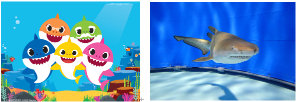 ベイビーシャーク特別企画展示