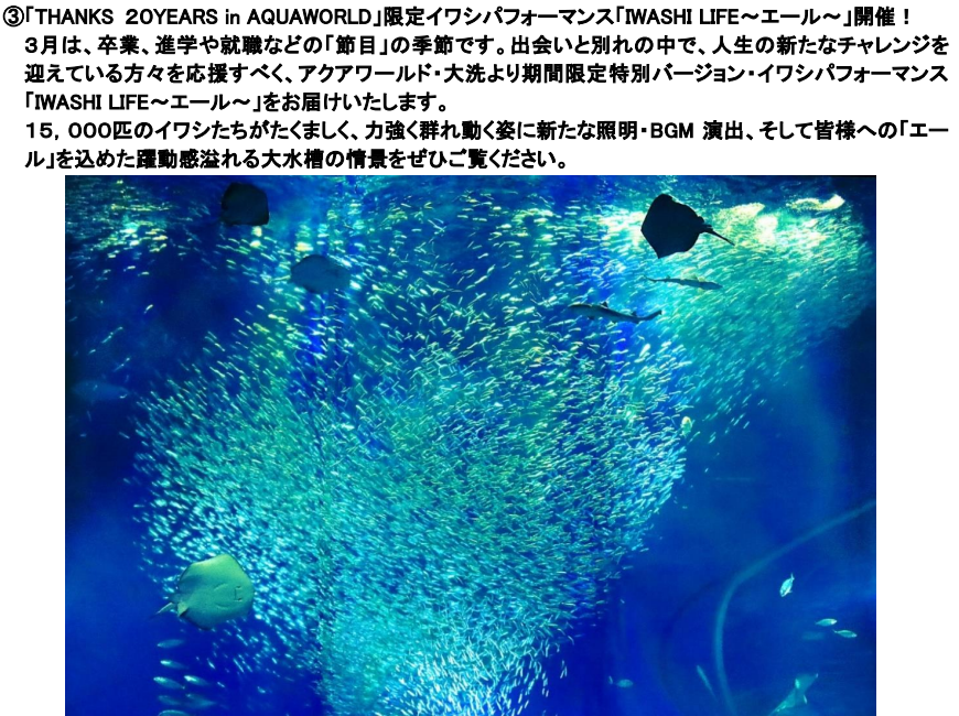 2枚!!【送料無料】アクアワールド 茨城県大洗水族館　「ご招待券」（有効期限：2019年12月31日まで） 本日発送可◇茨城県大洗水族館 アクアワールド (特別入場券) 4枚◇年内