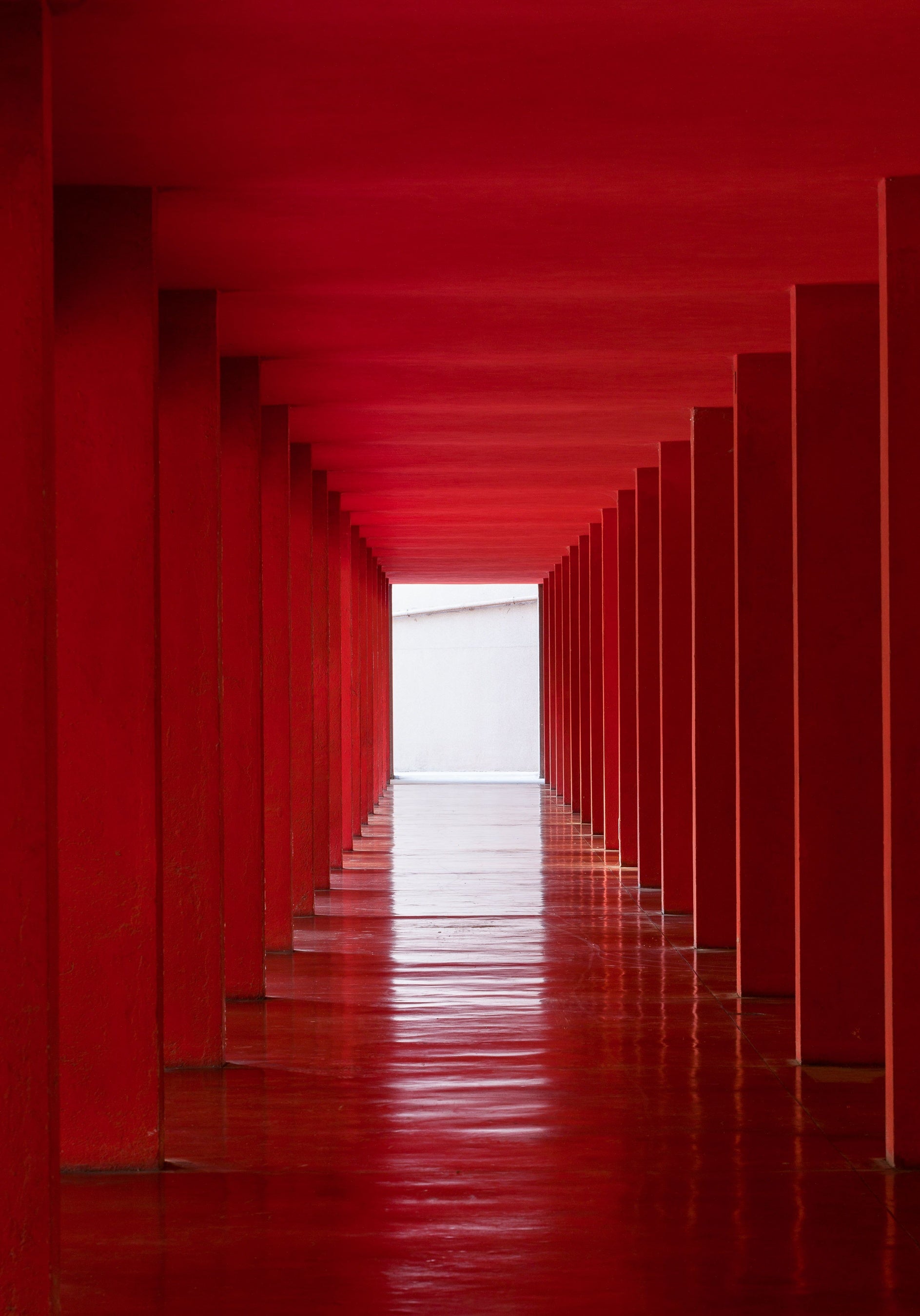 photo © Karina Castro