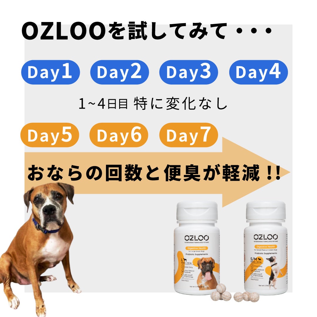 こだわりの菌と独自製法で愛犬の 腸活 を実感 犬用整腸剤 Ozlooプロバイオティックサプリメント を日本で初めて発売開始 25holdingsの プレスリリース