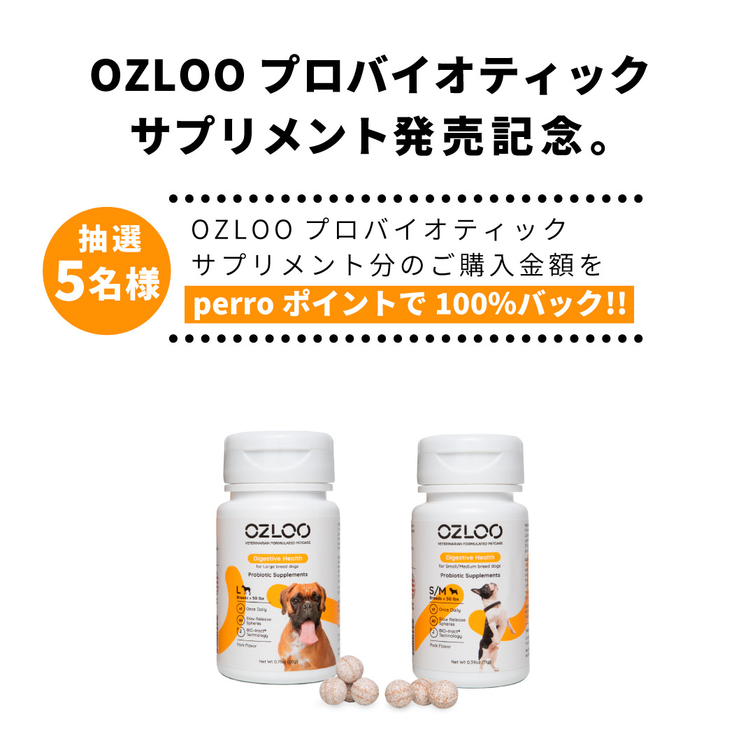こだわりの菌と独自製法で愛犬の 腸活 を実感 犬用整腸剤 Ozlooプロバイオティックサプリメント を日本で初めて発売開始 25holdingsの プレスリリース