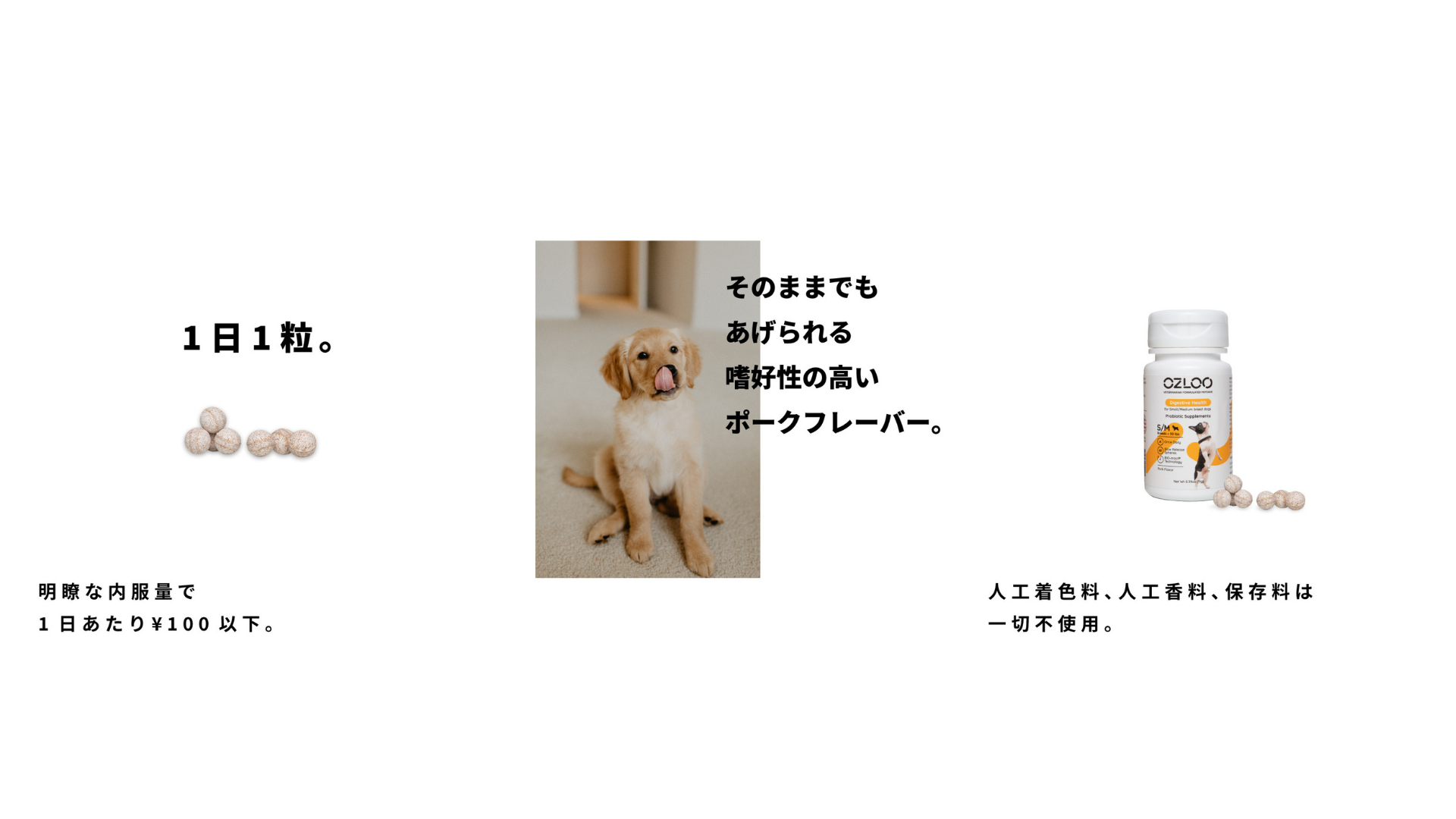 こだわりの菌と独自製法で愛犬の 腸活 を実感 犬用整腸剤 Ozlooプロバイオ ティックサプリメント を日本で初めて発売開始 25holdingsのプレスリリース