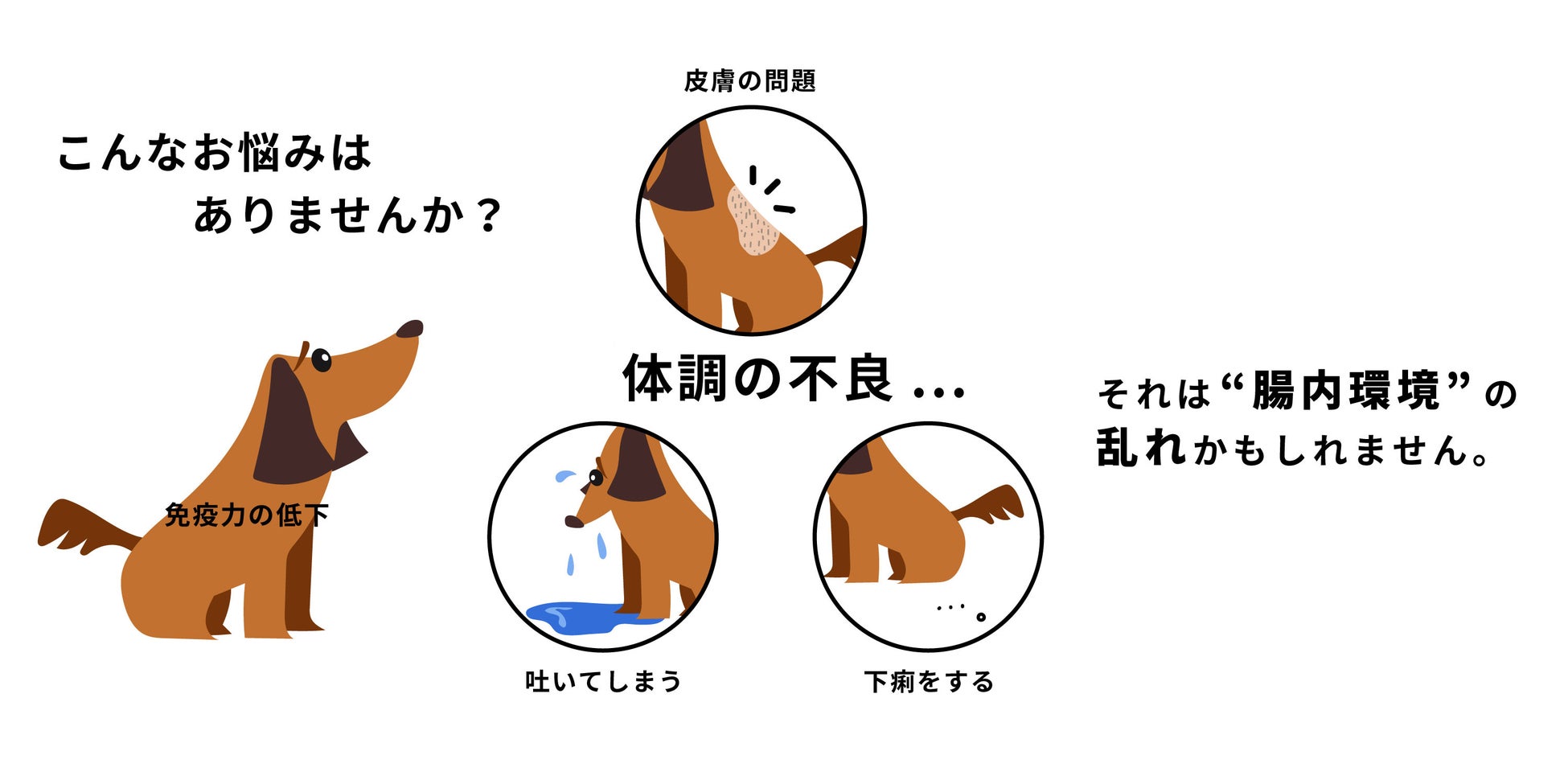こだわりの菌と独自製法で愛犬の 腸活 を実感 犬 用整腸剤 Ozlooプロバイオティックサプリメント を日本で初めて発売開始 25holdingsのプレスリリース こだわりの菌と独自製法で愛犬の 腸活 を実感 犬 用整腸剤 Ozlooプロバイオティックサプリメント を日本で初めて発売開始 25holdingsのプレスリリース