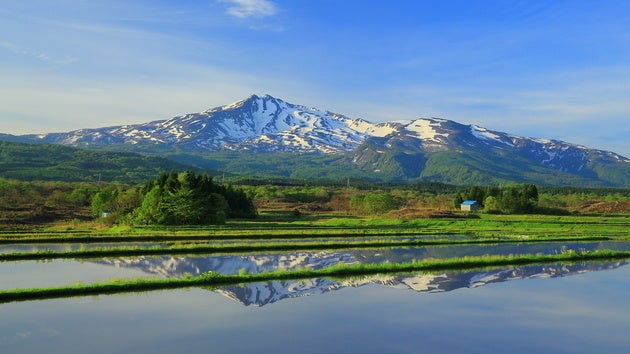 田植え時期の鳥海山
