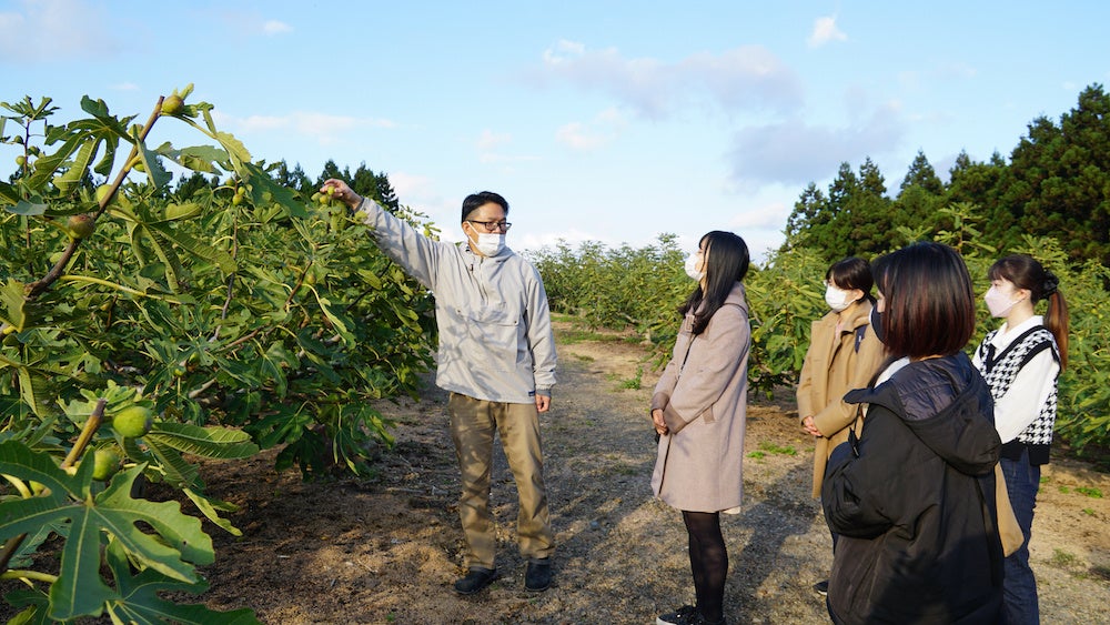 いちじく農園見学