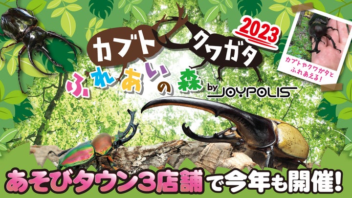 今年も開催!横浜・京都・鹿児島に世界の珍しいカブト・クワガタが大 今年も開催!横浜・京都・鹿児島に世界の珍しいカブト・クワガタが大