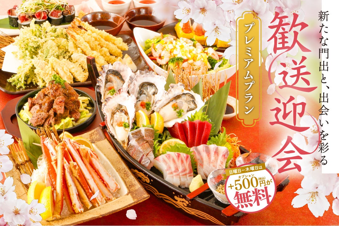 さかな酒場魚星オリジナルプラン