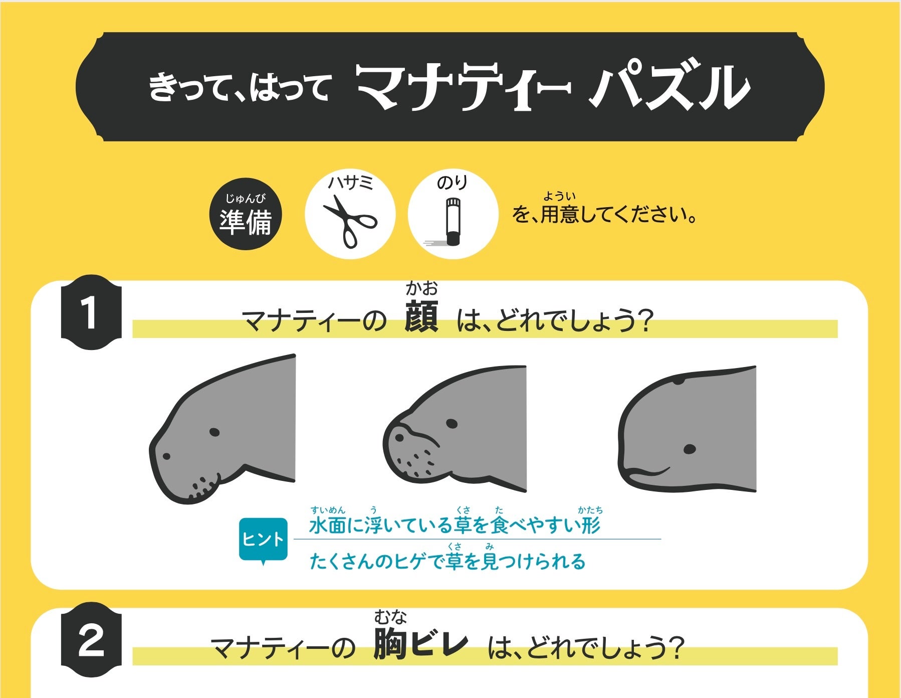 マナティー研究所が、海の生きものの生態と保全について学ぶ