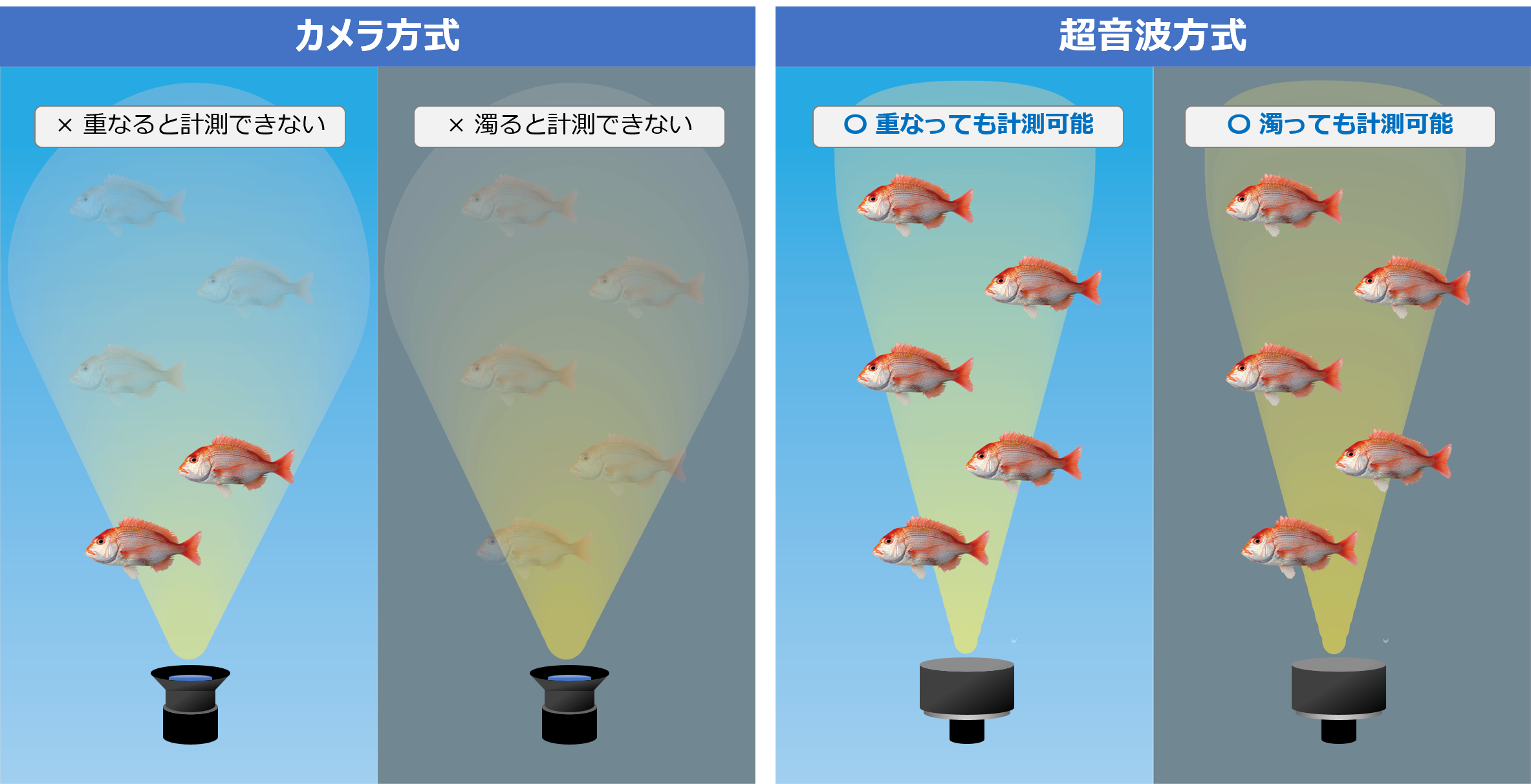 カメラ式と超音波式の違い