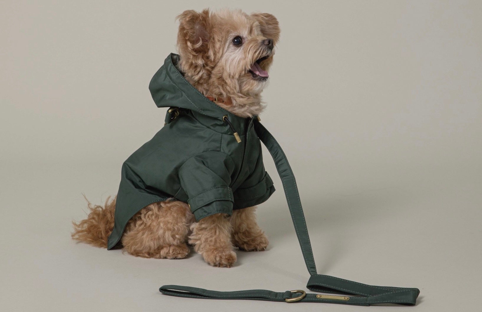 初アパレル商品『犬用レインコート』、CITYDOGより6/3発売開始
