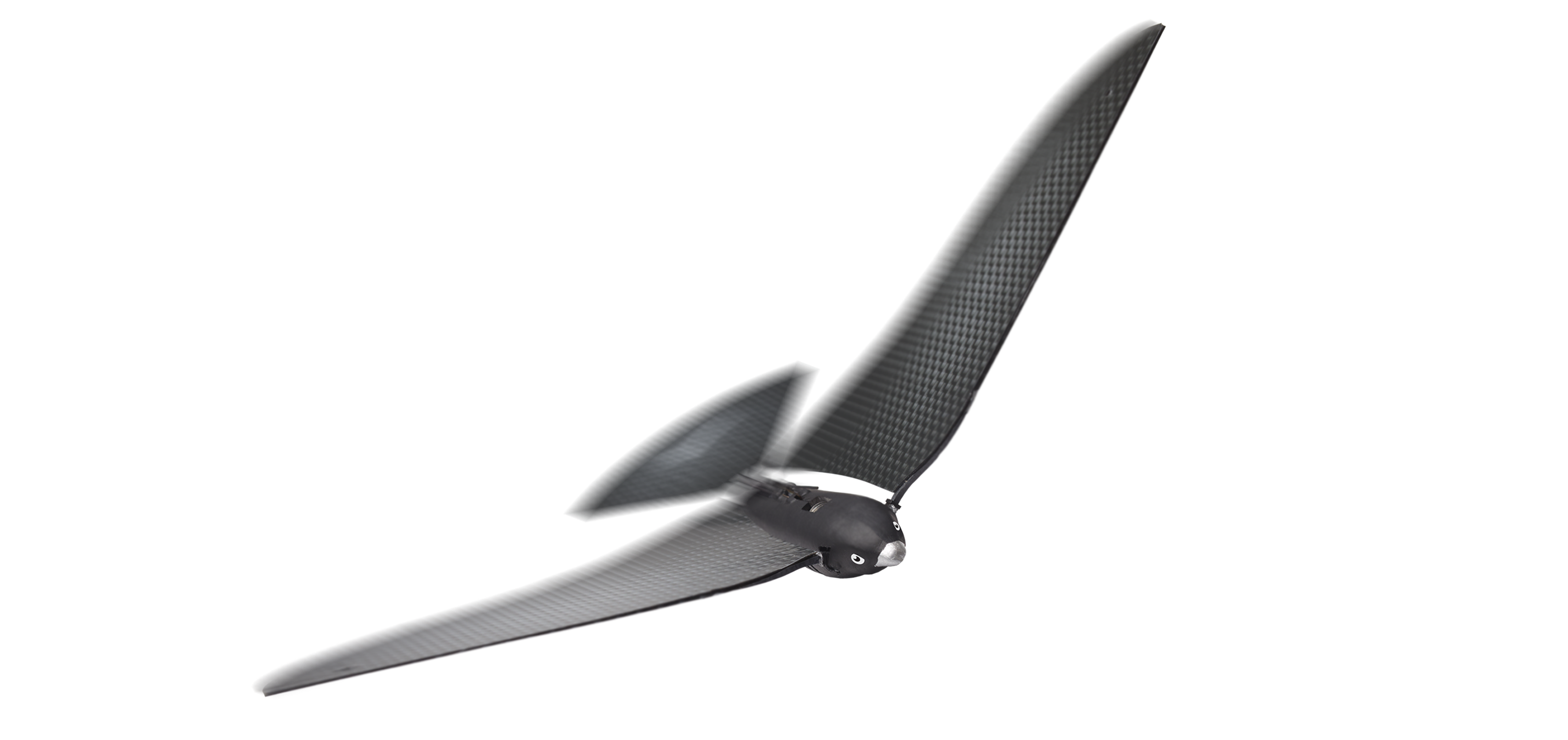 ドローイング】習作 カモメ 3e2f044c0a2cd97aa3aa39d471e5b4