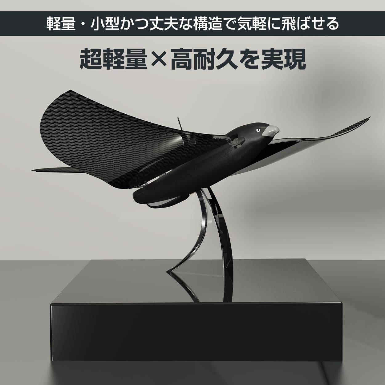 【ドローイング】習作 カモメ ドローイング】習作 カモメ