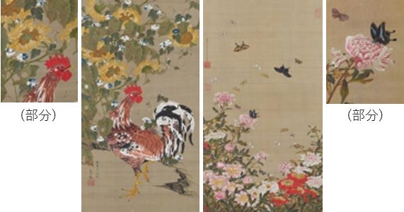 【国宝】伊藤若冲(いとうじゃくちゅう) 「動植綵絵(どうしょくさいえ)」のうち「向日葵雄鶏図(ひまわりゆうけいず)」(左)  「動植綵絵」のうち「芍薬群蝶図(しゃくやくぐんちょうず)」(右) 江戸時代(18世紀)★