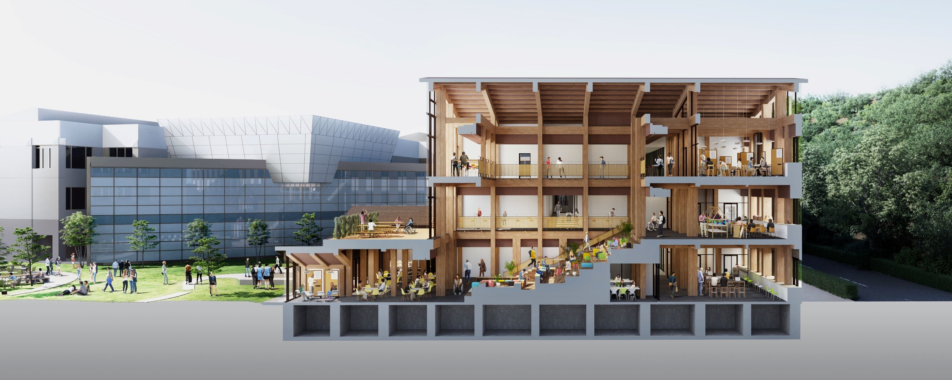 新しい教学棟の断面図　中央には木造建築の大階段