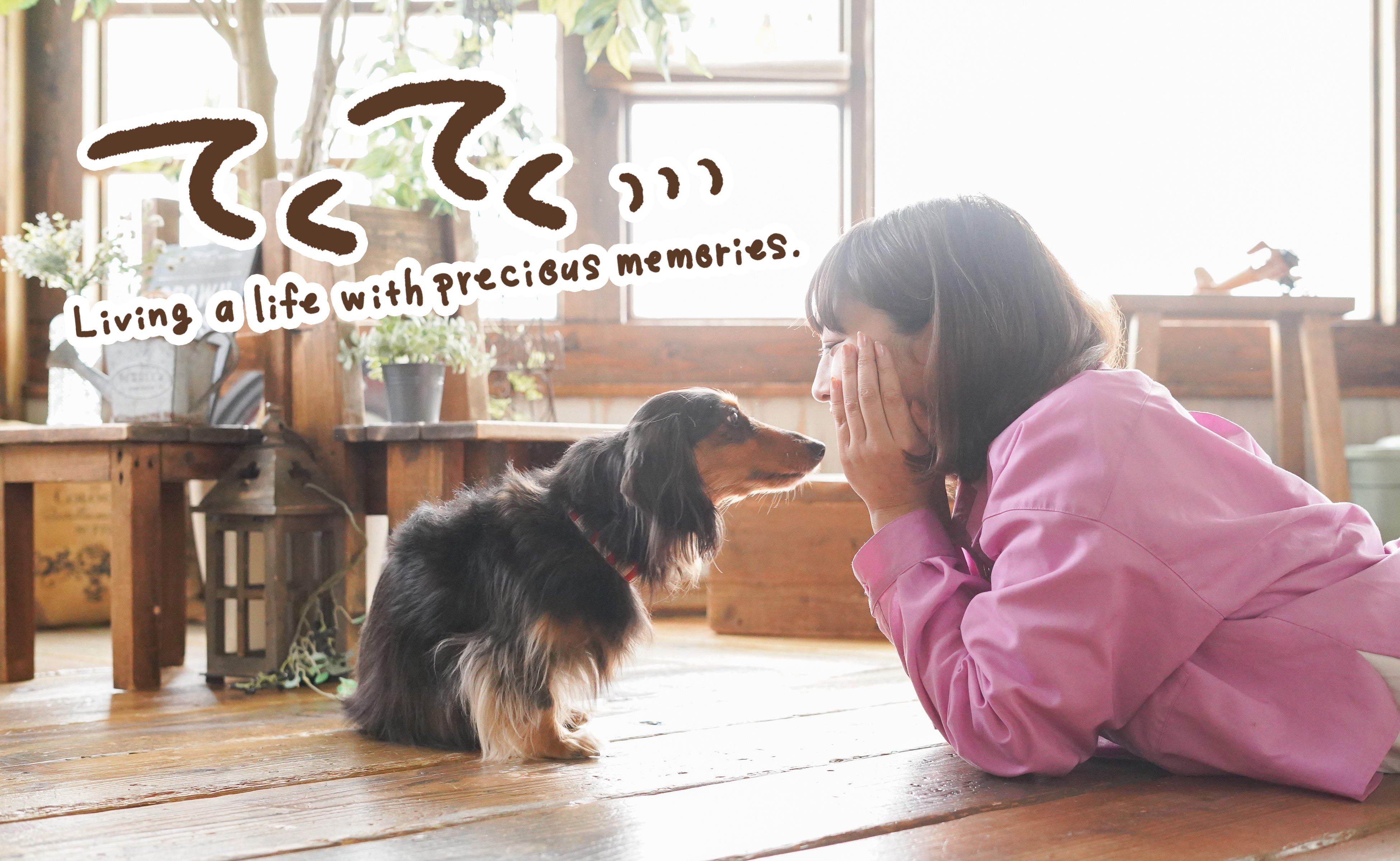 貸切型フォトスタジオCocoaペット撮影専門ブランド「＆fam」から会員制